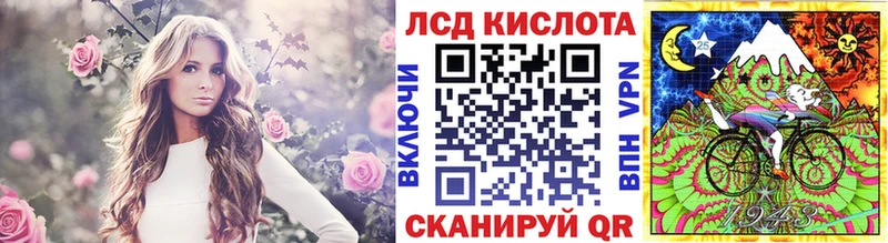 OMG как войти  Разумное  Марки N-bome 1500мкг 